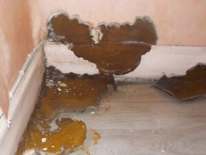 Mérule-Mézidon-vallée-d'auge-Saint-Pierre-en-auge